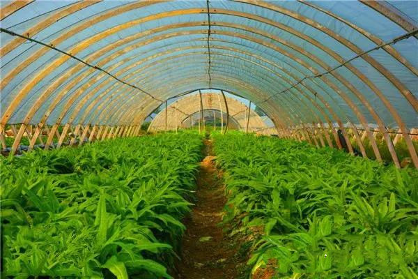 �ļ��߲�ʩ�ʷ�����ע������