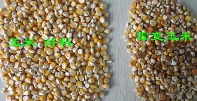 ���ٽ��������Ϻû���