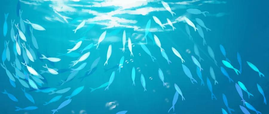 �����㵰�ף��ģ�������������ϲ�Ʒ�Ļ�������