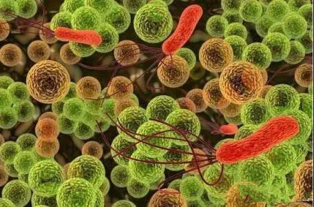 ���ʾ��ʣ������ǿ������涼��Щʲô����