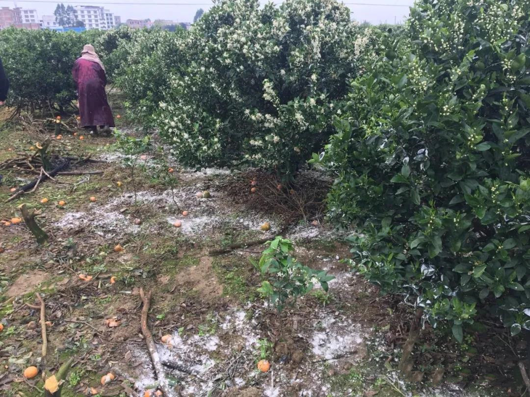 ����׷����Ҫ�� ���׼�Ԫ��Ҫ��ȫ