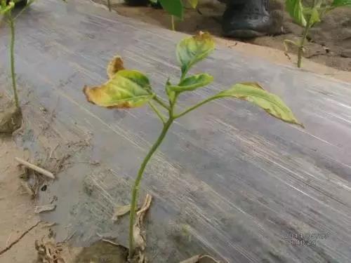 �л��ʡ�������ʡ������л��ʾ������ﲻһ����