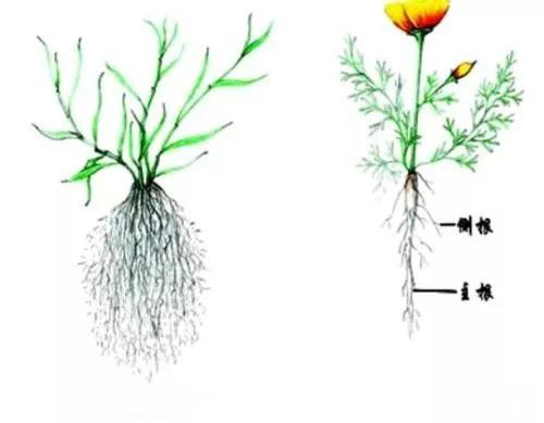 ���ʡ��������ϵ���