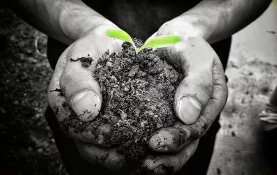 ���ʵ�������ô�����õģ�