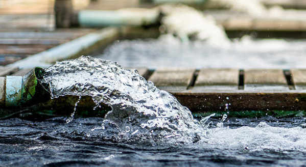 ���ɻ���25�ʴ����շ�ˮ����������