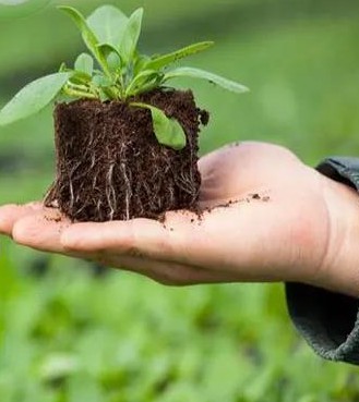 ΢�����������Ч��������������ƣ�