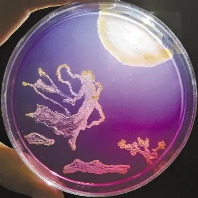 ΢������ֵ�������������Ⱦ�ļ�����б�