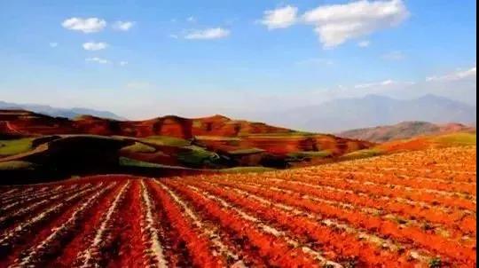 ������������Ǽֻ��һ�У�һ�Ա�֪��