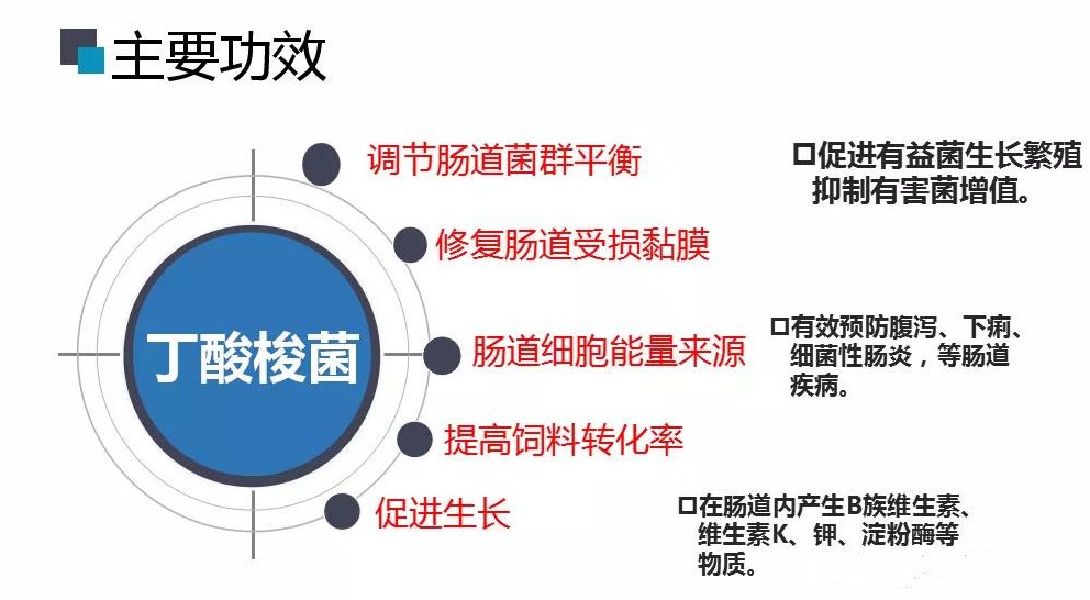 ����������⼦���״�л���ֹ�ָ���Ӱ��