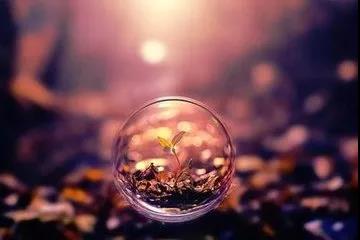 ΢������ϣ��й�ũҵ�ľ��ǣ�