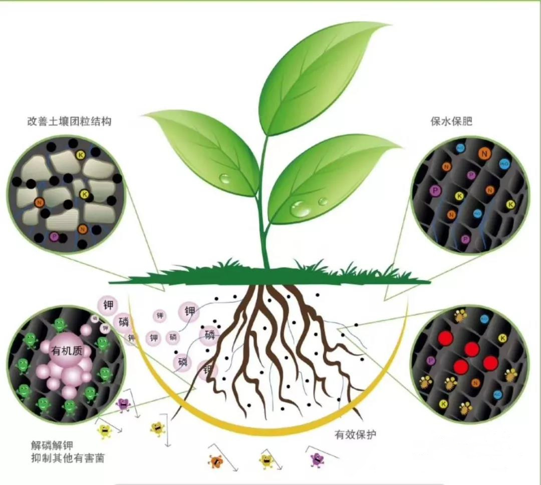 ����΢����������ʹ�÷��������ܴﵽԤ��Ŀ�꣡