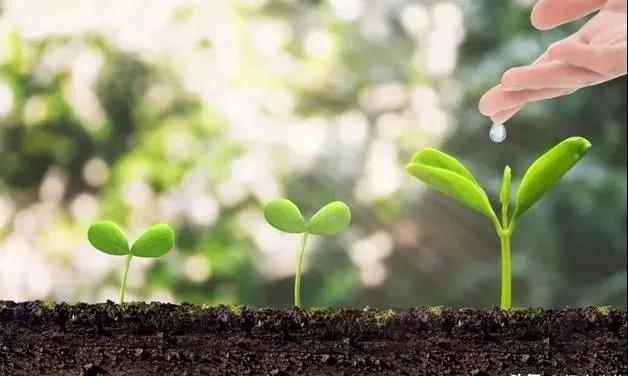 ���ʵĻ�������⡪�������ȷ��ʶ����