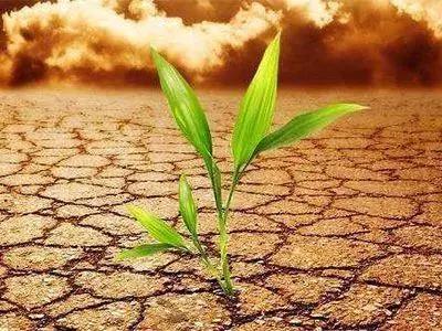 ���ӱ���������ʣ�Ч���ã����ã�