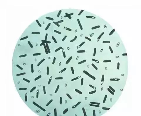 �����������ֳ���ã��ղأ�