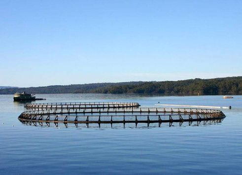 2021��6�·�ˮ����ֳ����Ԥ��Ԥ�������� ���ϣ�