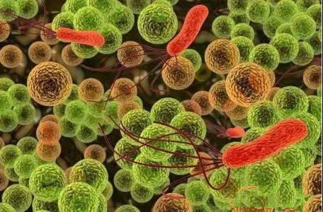 �����е�΢���ﵽ���ж�������