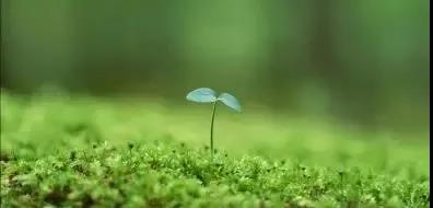 ��΢������ϣ���ƪ����˵�ú�ȫ��