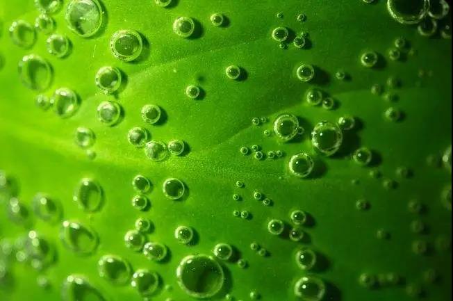 �����ᡢ�Ƹ��ᡢ��ֲ�ᵱ�����ļ��ַ��ϵ����к�ͬ��