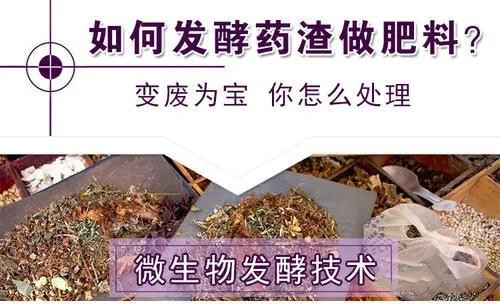 ������ҩ����