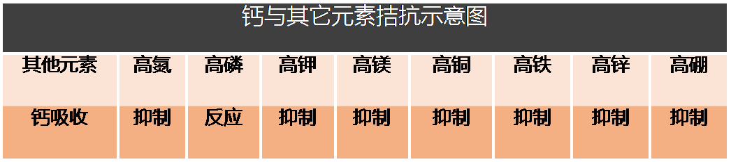 ���ﲹ����Щ�¶�