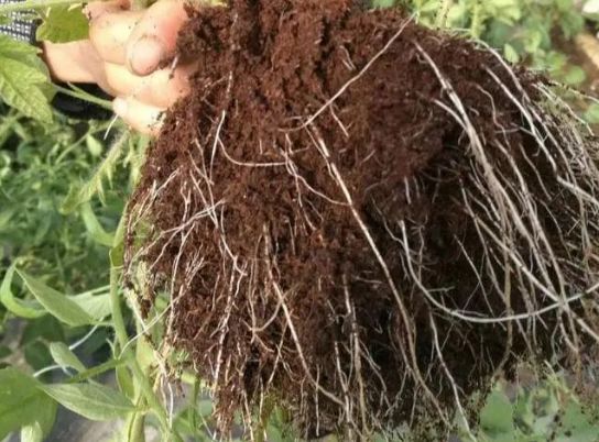 ������������ϵ�����������ȷ����������������˥�������ж�