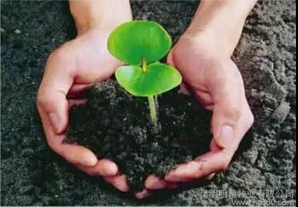 EM�����������л����ϼ���