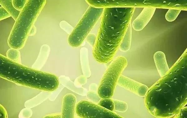 EM�����ͳ�ʧ�ܣ���2���������Լ���������������...