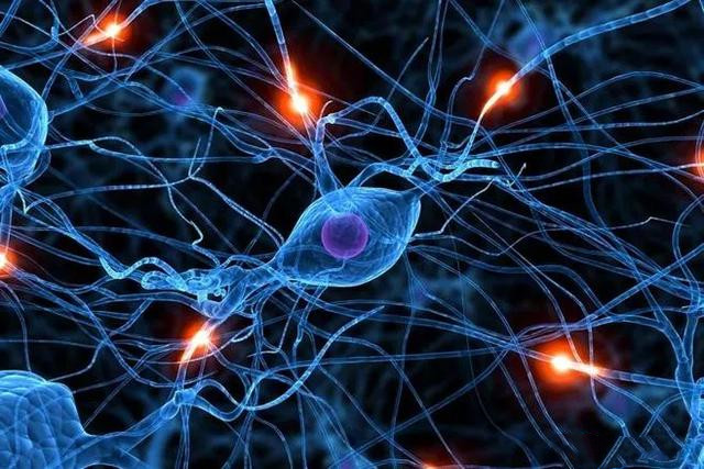 ���׶ε����Ż�����������˾��ϳɦ�-��������