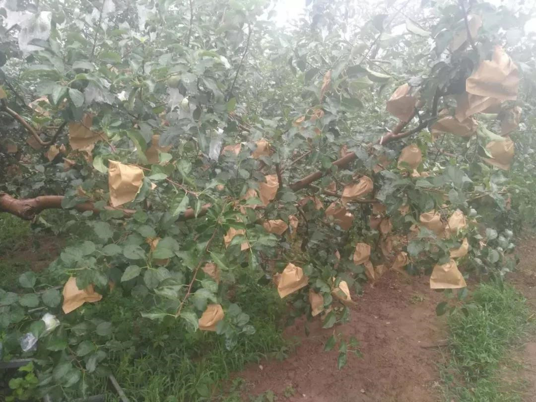 7�¹�������Ҫ�㣬���ü� ����Ҷ