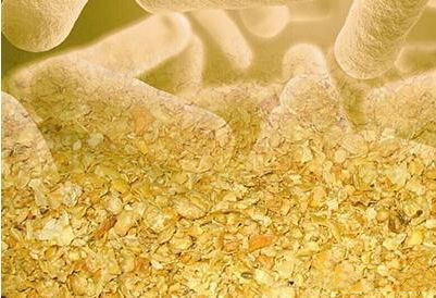 ΢���﷢�������ڶ��������е�Ӧ��