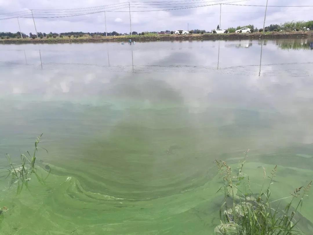 ��������ǧ������ɱ���壡