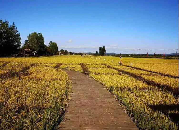 �������ߵľ��ʾ�һ���Ǻþ�����