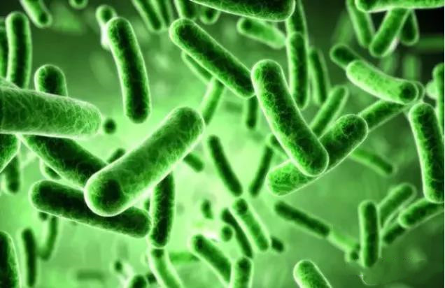 ������ҵ��ʮ�ֿ������������