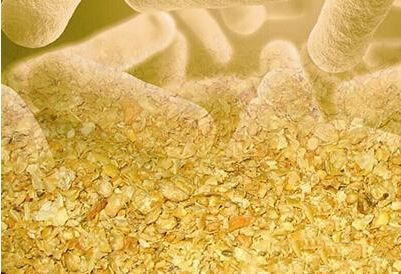 ΢���﷢��������������ֳ�е�Ӧ���뷢չǰ��