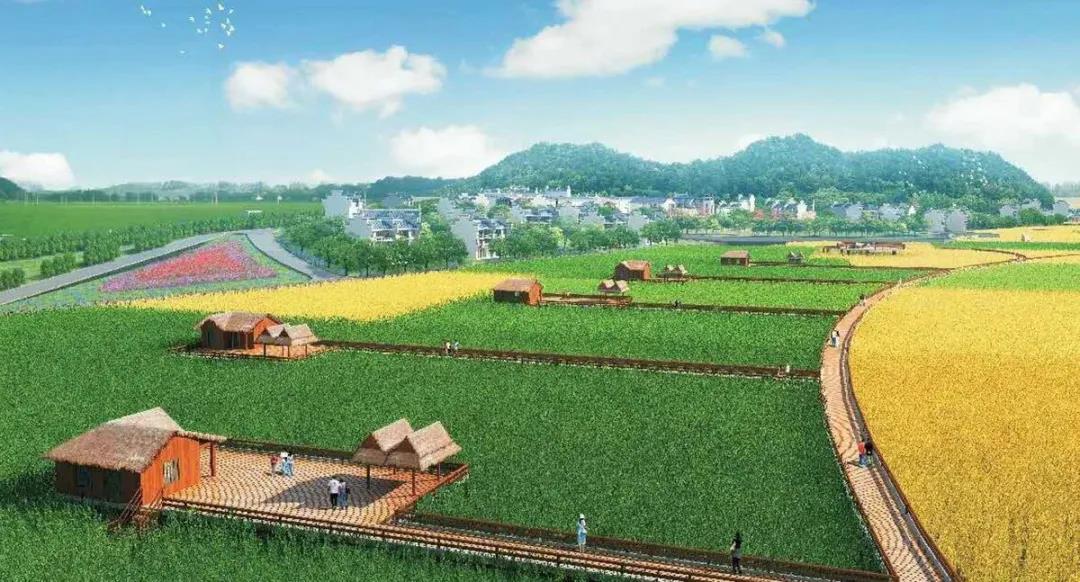 ΢��������Ƕ�ʮһ���͵����ͷ��ϣ�