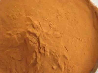 �Ƹ��ᡰţ���ǲ��Ǵ��ģ�������һ����