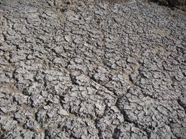 ��ɡ�������ᡱ��7��ԭ��