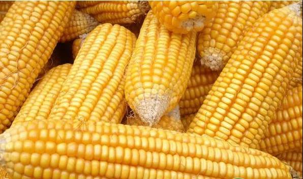 ���������ճ��ķ���Ҫ��