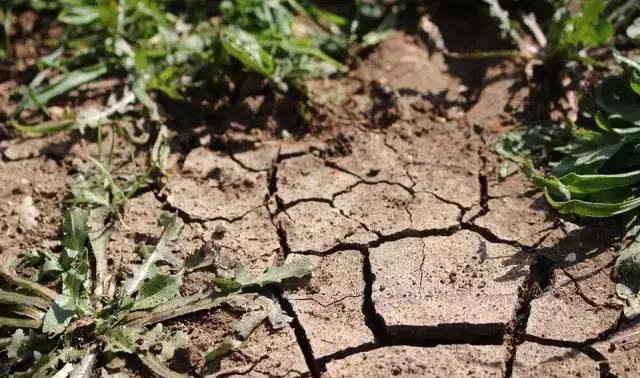 ��������ᡱΣ���󣬸���ν����