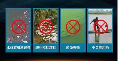 ѿ�߸˾��ڳ���������