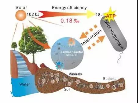 Ӱ��΢���������Ļ�������