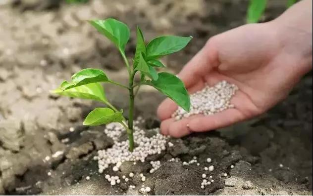 �����ܽ��ĺû����ܽ����ĺã�