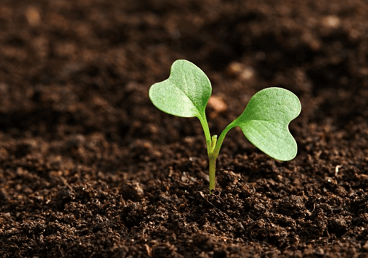 ����֪ʶ99�ʣ�һ��Ҫ�ղأ�