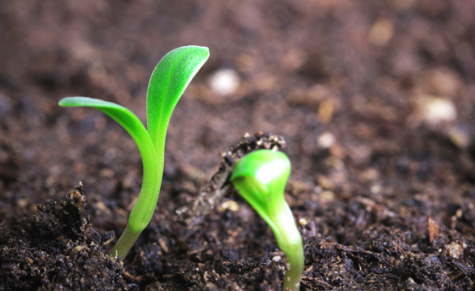 ������ʵ�ʮ����ʶ����֪���ļ��㣿