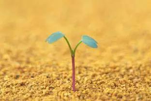 �����������֪ʶ��ũҵ�˱ر���