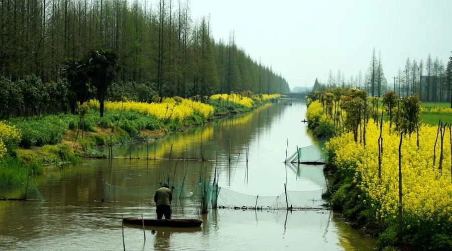 ���ϸ������Ϊ��ˮ����ֳ�е����ܾ���������˽���