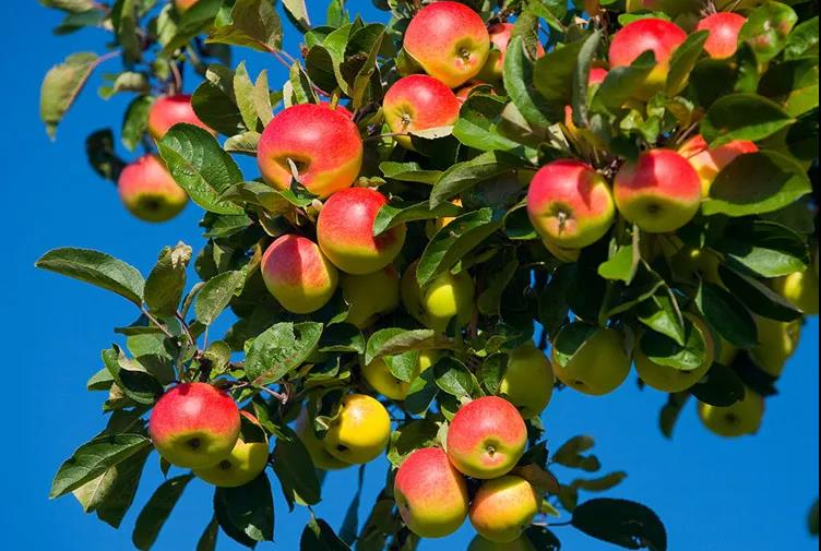 �＾����ʩ�ʣ���ס����70%��​