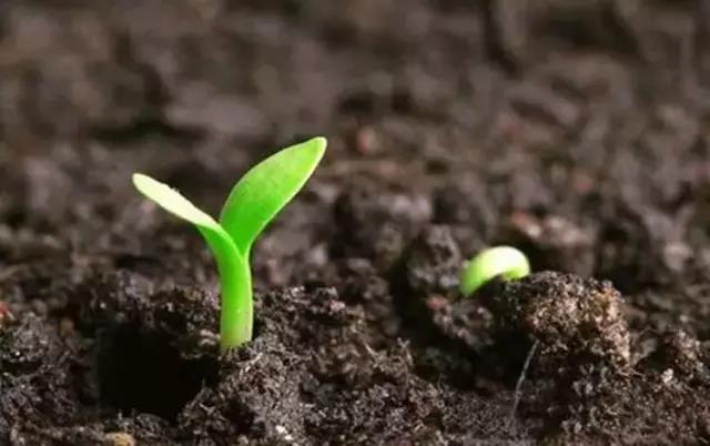 ���ʲ�������ʩ����ʩ����ʩ��