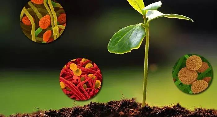 ̫�����ˣ������е�΢���ﵽ���ж�������