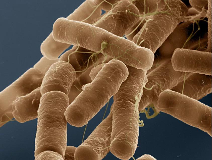 ũҵũ�岿��������ֳ��������ƹ�!